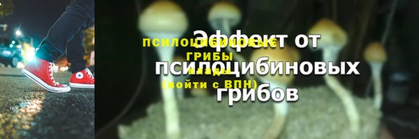 синтетический гашиш Новозыбков