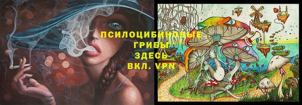 apvp Нязепетровск