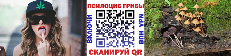Псилоцибиновые грибы Cubensis  Купить  Новоаннинский 